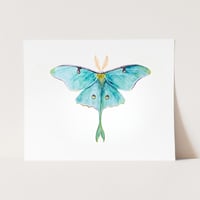 Image 1 of Luna Moth Watercolor Illustration PRINT 