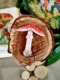 Image 2 of Grzybowe magnesy na lodówkę 