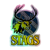 Stags Holographic stickers