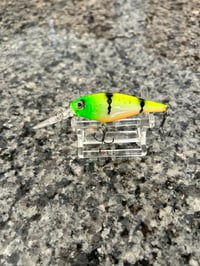 Poison Perch shad 5