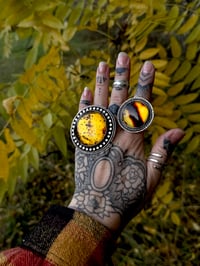 Image 5 of Large Amber Statement Piece~Choose Your Own Adventure