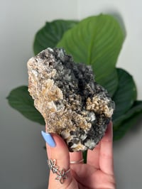 Image 3 of GREEN SUGAR FLUORITE -UK- A