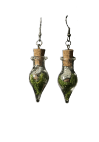 Image 1 of Oddity Jar Earrings