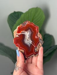 Image 1 of BRIGHT RED DOUBLE SIDED LAGUNA AGATE SLICE M