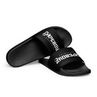 DW SILDES