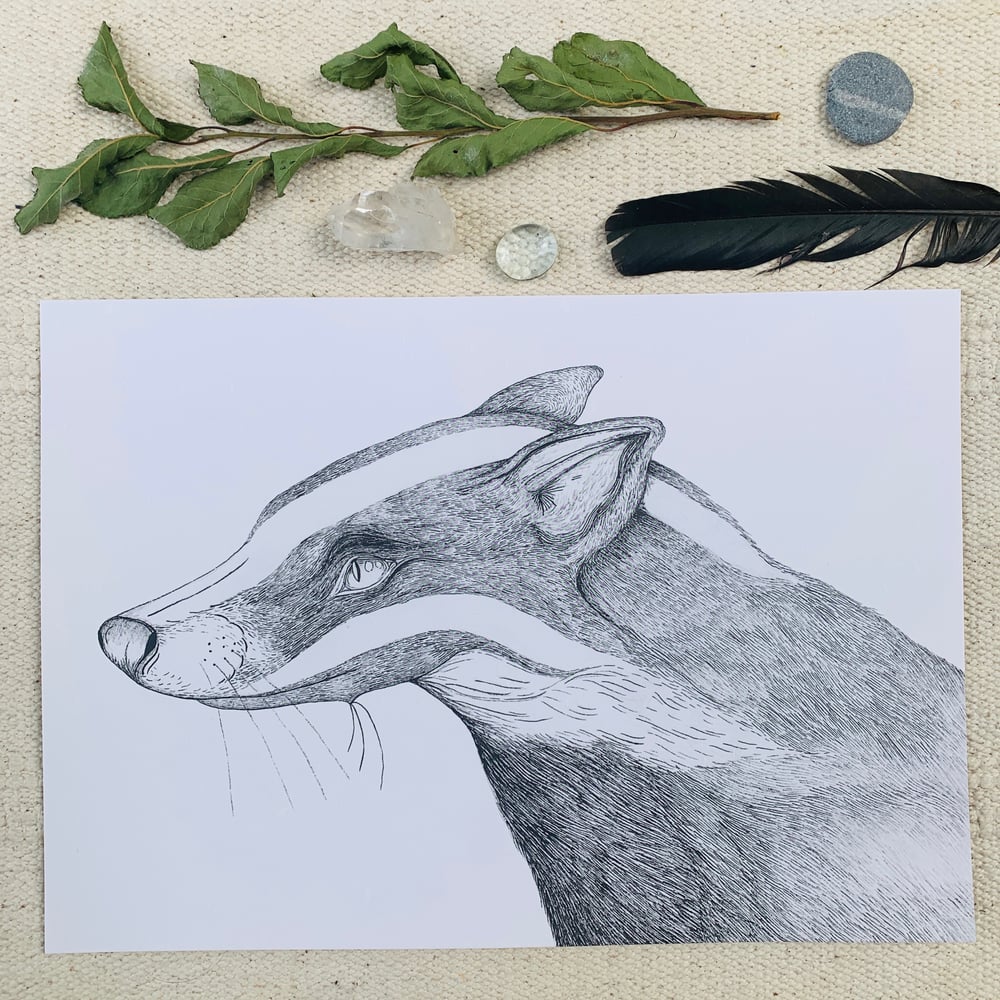Image of Instinct Badger Print