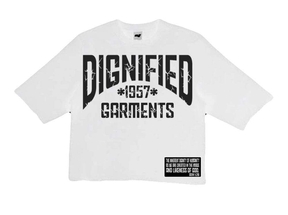 Image of Oversized Boxy Tee ( White)