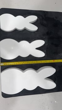 The Bunny bundle ( Includes shipping )