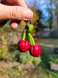 Image 6 of Cadmium Red Skull Cherries