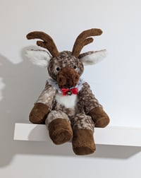 Image 4 of Remy the reindeer 