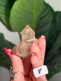 Image 22 of CHOOSE YOUR OWN NATURAL (UNPOLISHED) RUTILE IN QUARTZ POINT -BRAZIL-