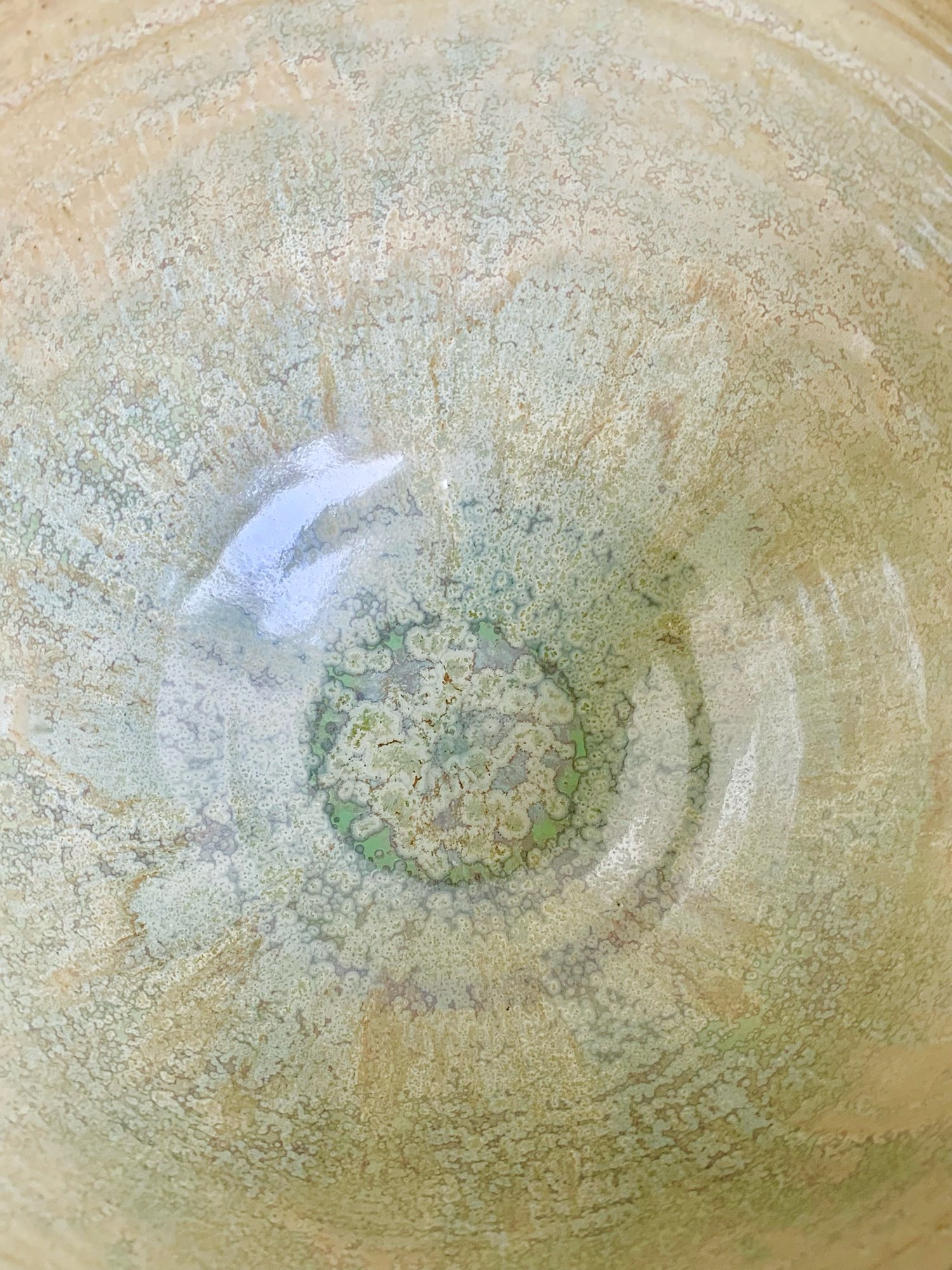 Image of  Coral Sculpture 