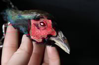 Image 2 of Dead Good taxidermy pheasant head necklace 