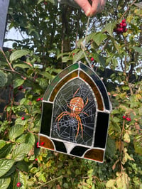 Image 2 of Spiders home