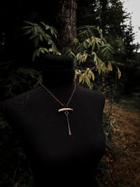 Image 4 of sticks and bones