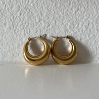 Image 1 of Rose Hoops