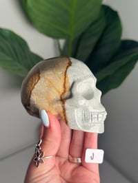 Image 10 of CHOOSE YOUR OWN SEA JASPER SKULL -MADAGASCAR-