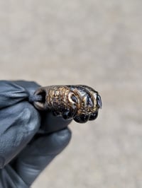 Image 5 of Tortoiseshell (sparkle) paw with black toebeans