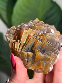 Image 13 of NATURAL RAINBOW IRIDESCENT CUBIC FLUORITE -CHINA- L