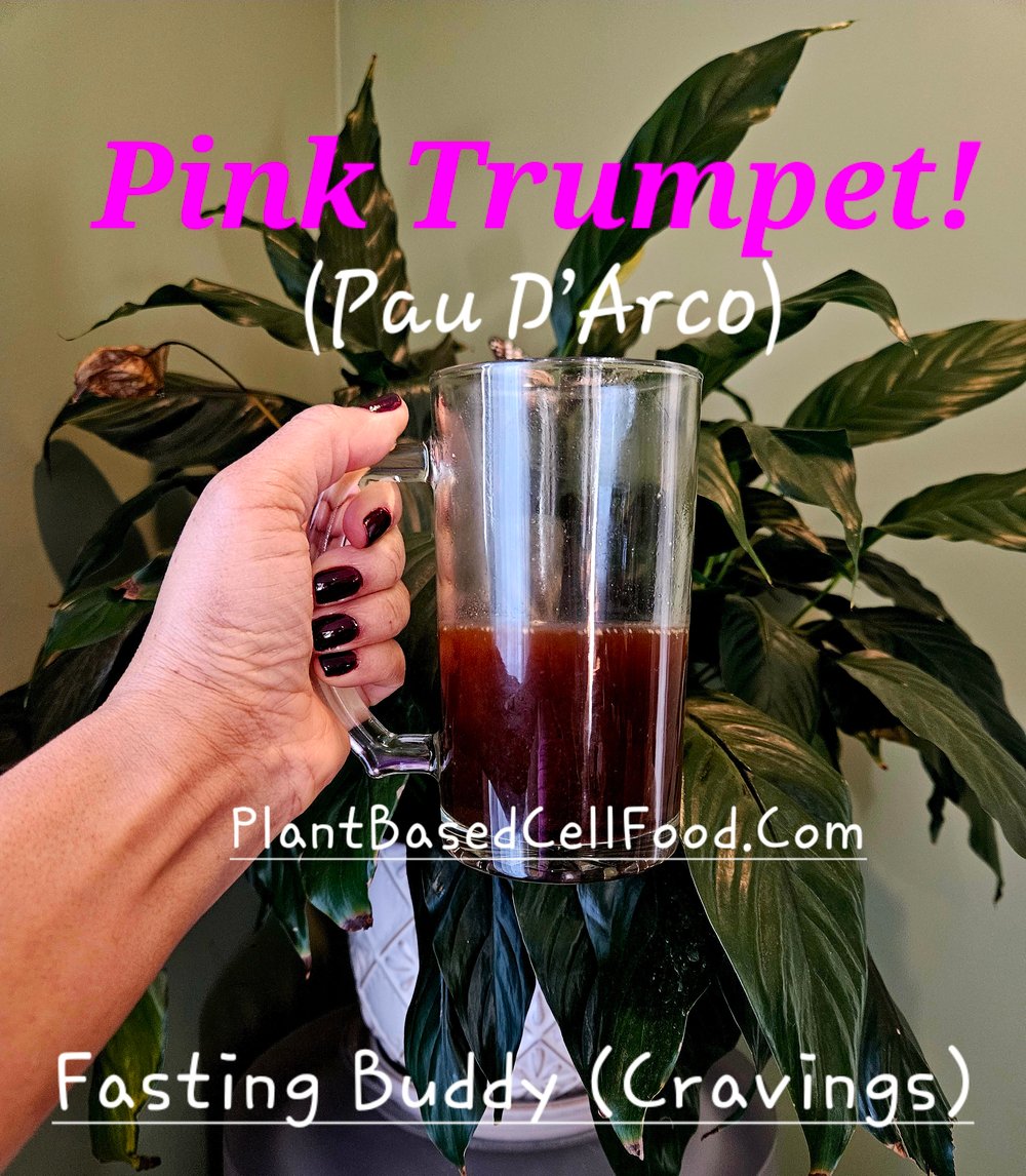 PINK TRUMPET! Pau d'Arco Adaptogen. Food/Beverage Additive. Candida/Yeast-Chemo-Cancer-Ulcers-Herpes