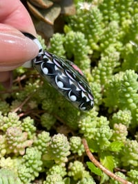 Image 4 of Jewels 