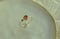 Image of 9k gold & Turmalin Ring
