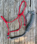Image 4 of Halter and Lead Combo