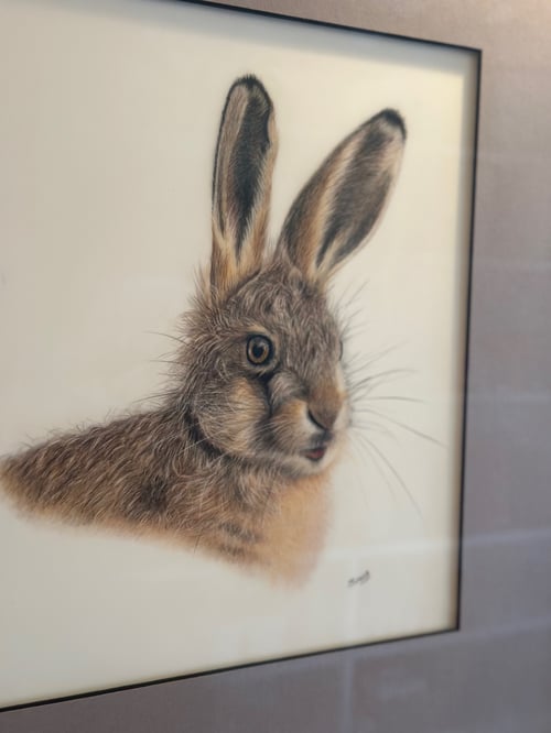Image of Harry the Hare by Juliet B