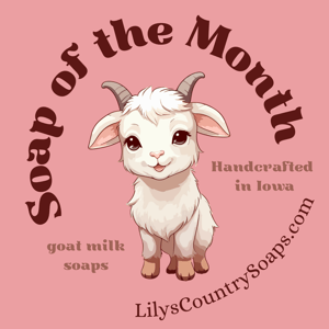 Image of Soap Of The Month Subscription