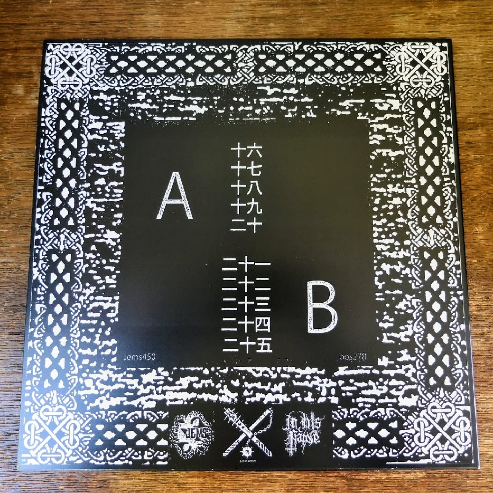 激レア!comings『Sale of Broken…』 LP レコード LEAKING CRYPT 