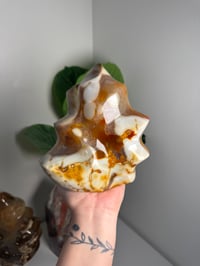 Image 1 of XL ORCA CARNELIAN FLAME -MADAGASCAR-