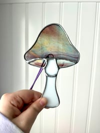 Image 3 of Mushrooms