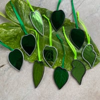 Image 6 of Laser Engraved Single Leaves