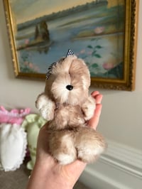 Image 2 of Fluffy Seal 2