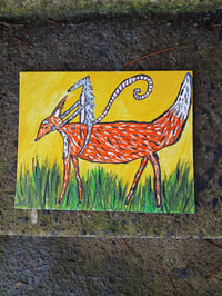 Image 5 of Possum Riding Fox