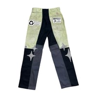 Image 2 of 101. STARS & GARDENS