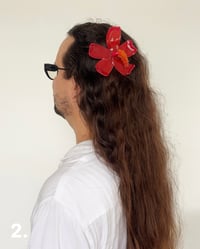 Image 3 of Flor de Maga 2.0 | Hair Clip 1 & 2