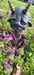 Image of FFFaun #3
