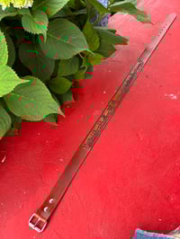 Image 5 of Fowler’s Belt