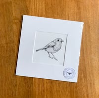 Robin Giclee Print