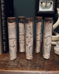 Image 2 of Snake Skin Vial