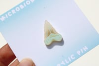Shark Tooth Frosted Acrylic Pin