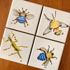 Insect Coasters