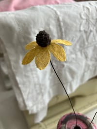 Image 3 of Black Eyed Susan