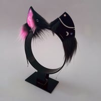 Image 3 of Pink Sky Kitten