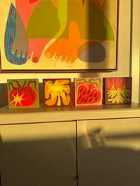 Image 4 of Wild Tomato 