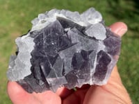 Image 7 of Purple Cubic Fluorite Specimen #1941