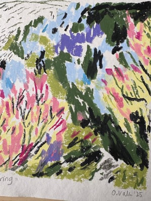 Image of Blomstring