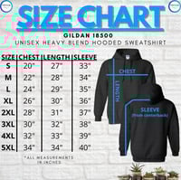 Image 2 of PROTECT TRANS YOUTH  - Embroidery Hoodie (Trans Colours )