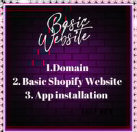Build Shopify Website 